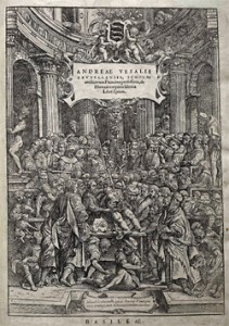 Abbildung aus dem Werk:Quelle: Vesalius: De humani corporis libri septem (Ausgabe von 1552), Google Bücher