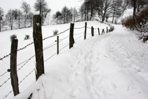 Winterlandschaft; Foto: Find das Bild / Michael Schnell