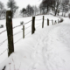 Winterlandschaft; Foto: Find das Bild / Michael Schnell