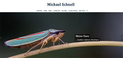 Screenshot der Website michael-schnell.info